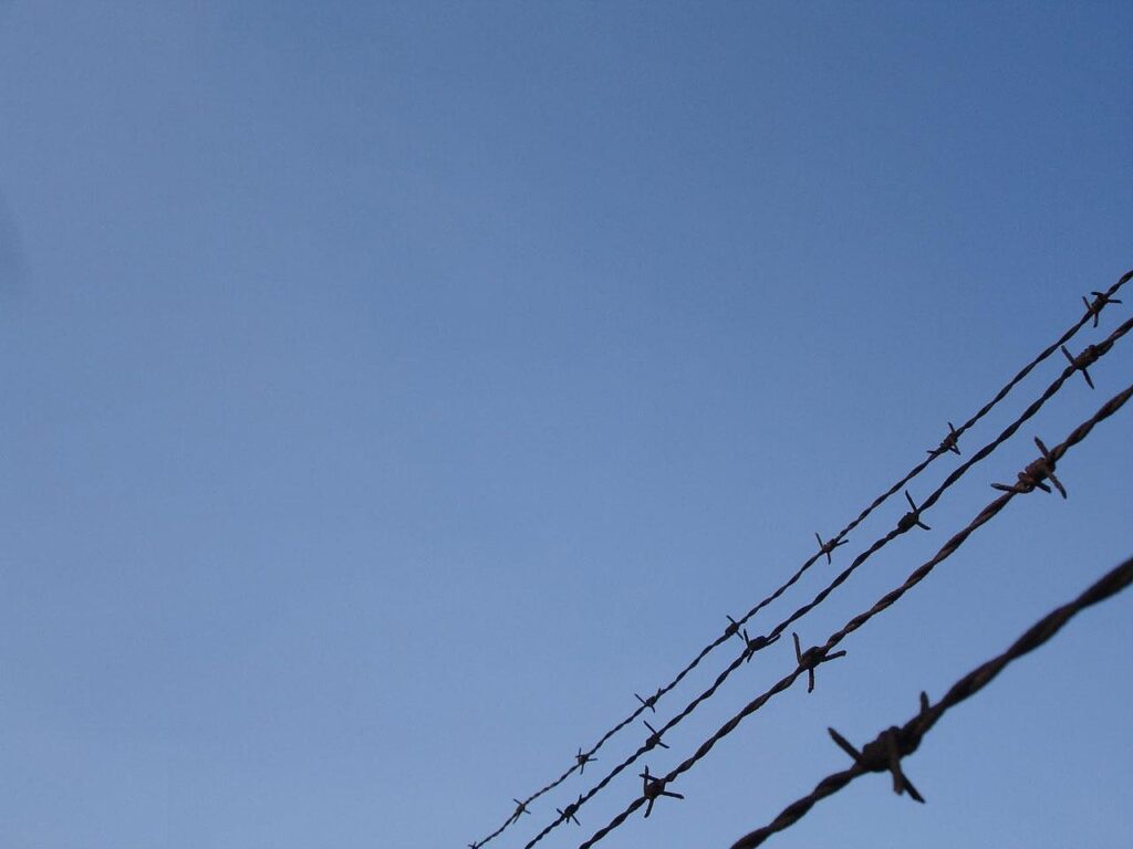 糖質制限初心者におすすめの方法は何？